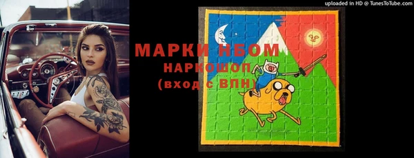 прущие грибы Аркадак