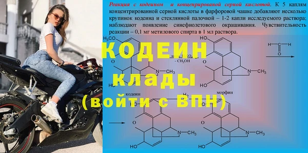 крисы Новокубанск